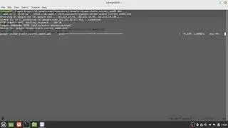 install google chrome on linux