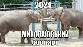 Миколаївський зоопарк 2024