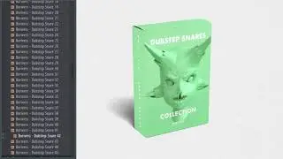Dubstep Snares | Dubstep Snares Collection | Snare Samples
