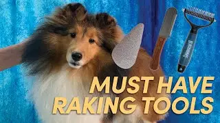 Tools for Raking Double Coated Breeds