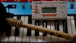 Radzivilovsky Bagpipes #11 2016 - Test