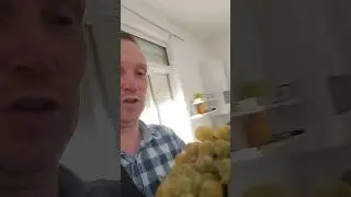 домашний виноград в Черногории