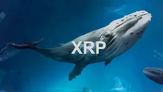 They control the PRICE of XRP (2023)