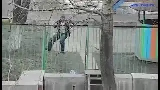 Спасите, помогите