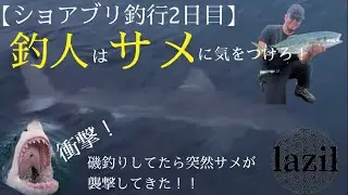 【ショアブリ釣行】釣り上げたブリをサメに取られた！釣人はサメに気をつけろ