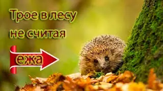 Китай. Приключения на ровном месте...