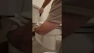 New toilet seat in 10 minutes or less!