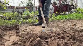 Man dig in the garden with a shovel slow motion, home Agriculture concept, surviving