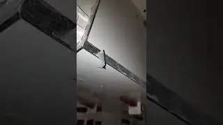 Mitreeee 