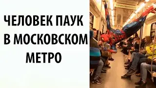 КУРЬЁЗЫ МОСКОВСКОЙ ПОДЗЕМКИ ЧЕЛОВЕК ПАУК В МОСКОВСКОМ МЕТРО