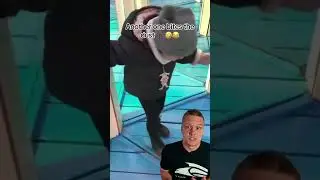 САМЫЙ КРИПОВЫЙ АТТРАКЦИОН из твоих снов