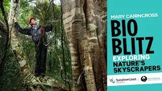 MCR BioBlitz Day 02