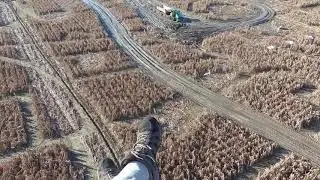 Corn Maze Mud Survey