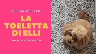 Lui ama veramente gli animali! La toeletta di Elli!