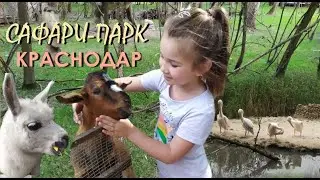САФАРИ-ПАРК В КРАСНОДАРЕ/ КРАСНОДАРСКИЙ ЗООПАРК/ ЗООПАРК В ГОРОДЕ