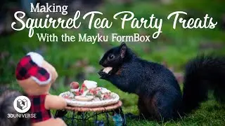 Making Squirrel Tea Party Treats with the Mayku FormBox
