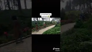 tiktok manusia pohon 180