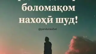 Sadoi Zinda - Боломаком