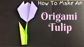 How To Make An Origami Tulip Flower With Stem