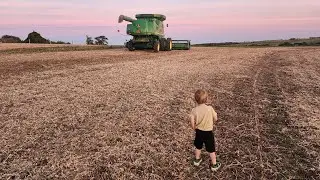 Soybeans Day Three | Big Shoes Little Feet