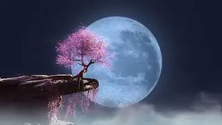 Sakura On The Cliff In Blue Moon Night 4K VJ Loop Video | No Copyright Motion Loop Video