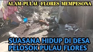 VLOG OF THE ATMOSPHERE OF A ROUTE VILLAGE IN THE FLORES ISLANDS