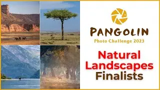 Landscape Photography Photo Challenge
