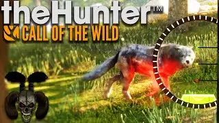 Bow Hunting Cuatro Colinas! The Hunter Call of The Wild