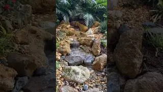 A Pond To Pondless Waterfall Conversion!