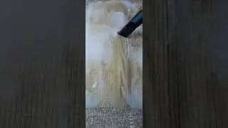дитолинг
