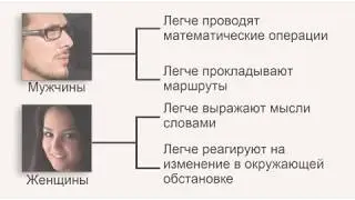 Головной мозг строение и функции видеоурок по биологии 8 класс