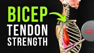 Build Bicep Tendon Strength in 5 Minutes