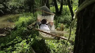 Седло косули