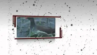 Fast Titles