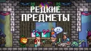 САМИЕ РЕДКИЕ ПРЕДМЕТЫ В ТЕРРАРИИ