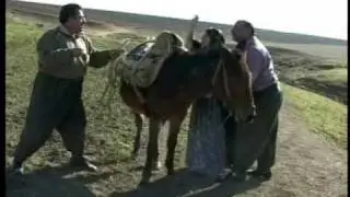xelo u celo jina nazdar 1