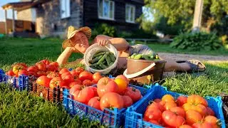 Хоть по немногу, но сезон нас радует. Дел куда не глянь