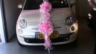 קישוטי רכב לחתונה בתל אביב