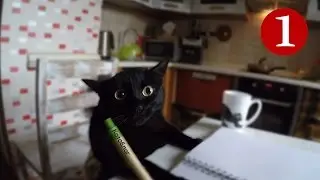 Котоблог (Выпуск # 1)