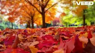 Otoño