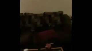 Luka dog