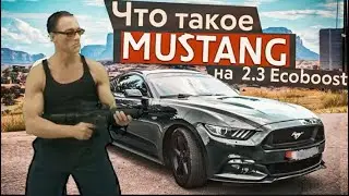 Легендарный Shelby GT350: история о том, как Ford сотворил самое мощное серийное авто #авто
