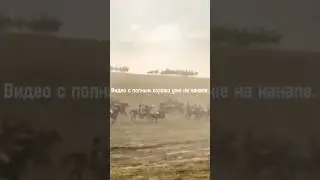 Родимый Край 