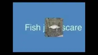 сеример для взрослых