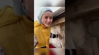 Вечер в деревне