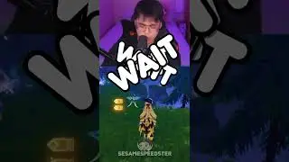 You Can Do THIS in Genshin Impact?
