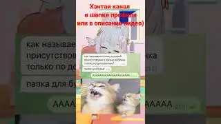 Мемы 