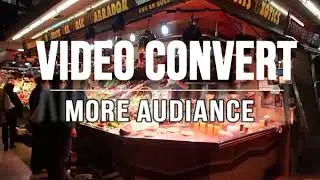 Video Ad
