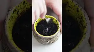 MIX DARKSIDE LEMON BLAST COM MANGO LASSI TABACO BURLEY DA RUSSIA