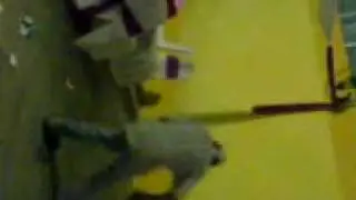 El ganso en el watekk' s